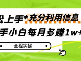 每月多赚1w+，新手小白如何充分利用信息赚钱，全程实操！【揭秘】