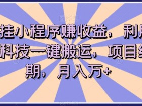 短剧挂小程序赚收益，利用软件黑科技一键搬运，项目红利期，月入万+【揭秘】