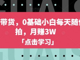 小红书带货，0基础小白每天随便拍拍，月赚3W【揭秘】
