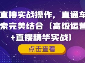 淘系直搜实战操作，直通车与手淘搜索完美结合（高级运营课程+直搜精华实战）