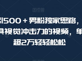 暴力日引500＋男粉独家思路，将美女做成极具视觉冲击力的视频，单月盈利超2万轻轻松松