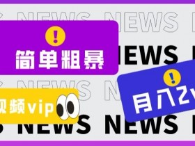 简单粗暴零成本，高回报，全网视频VIP掘金项目，月入2万＋【揭秘】