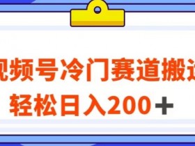 视频号最新冷门赛道搬运玩法，轻松日入200+【揭秘】