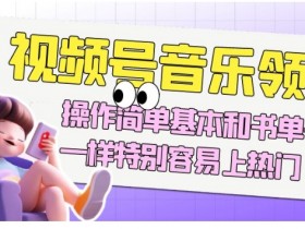 视频号音乐领域项目玩法，操作简单基本和书单号一样，特别容易上热门【揭秘】