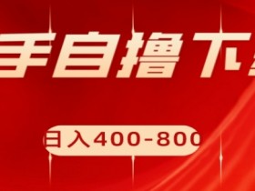 快手自撸下载项目，每天花一个小时，日入400-800【揭秘】
