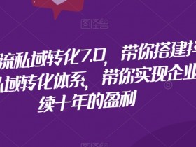 抖音引流私域转化7.0，带你搭建抖音引流私域转化体系，带你实现企业持续十年的盈利