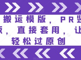 短剧搬运模版，PR竖版模板，直接套用，让你轻松过原创