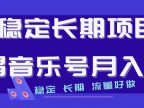 稳定长期项目，说唱音乐号月入1W+，稳定长期，流量好做