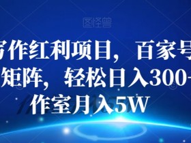 AI写作红利项目，百家号流量主矩阵，轻松日入300+工作室月入5W【揭秘】