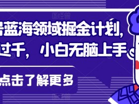 视频号蓝海领域掘金计划，日入过千，小白无脑上手【揭秘】