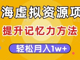 蓝海虚拟资源项目，提升记忆力方法，多种变现方式，轻松月入1w+【揭秘】