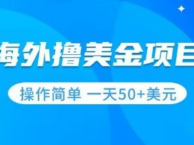 撸美金项目无门槛操作简单小白一天50+美刀