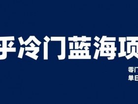 知乎冷门蓝海项目，零门槛教你如何单日变现200+【揭秘】