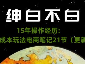 绅白不白·15年操作经历：贫穷低成本玩法电商笔记21节（更新中）