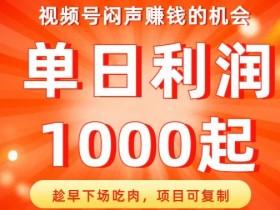 视频号闷声赚钱的机会，趁早下场吃肉，项目可复制，单日利润1000起【揭秘】