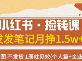 小红书·捡钱课发发笔记月挣1.5w+不做图不发货1周就见效(个人篇+企业篇)