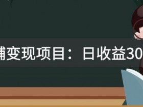 某收费2680的教辅变现项目：日收益3000+教引流，教变现，附资料和资源