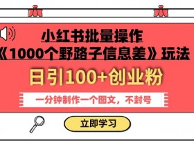小红书批量操作《1000个野路子信息差》玩法，一分钟制作一个图文，不封号，日引100+创业粉