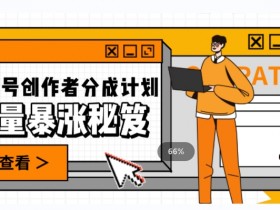 一条视频收益3000+，一条作品涨粉2000+，视频号流量爆炸·的秘籍