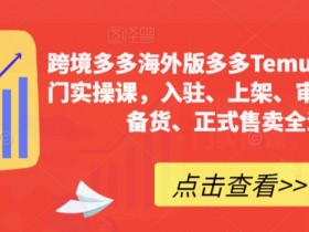 跨境多多海外版多多Temu12天快速入门实操课，入驻、上架、审版、核价、备货、正式售卖全流程