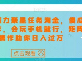 快手磁力聚星任务淘金，傻瓜式操作，会玩手机就行，矩阵操作助你日入过万