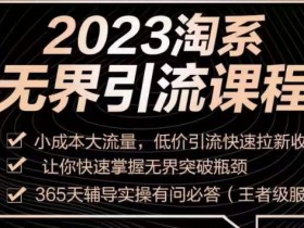 2023淘系无界引流实操课程，​小成本大流量，低价引流快速拉新收割，让你快速掌握无界突破瓶颈