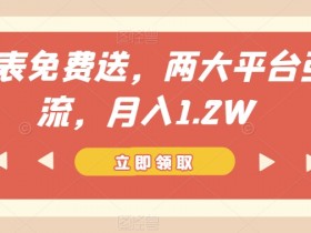 手表免费送，两大平台引流，月入1.2W【揭秘】