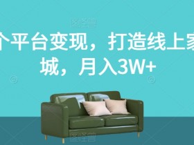 两个平台变现，打造线上家具城，月入3W+【揭秘】