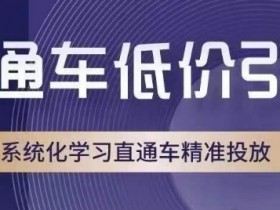直通车低价引流课，系统化学习直通车精准投放