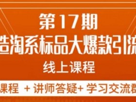 南掌柜-第17期打造淘系标品大爆款，5天线上课
