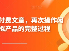 某公众号付费文章，再次操作闲鱼虚拟产品的完整过程