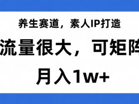 养生赛道，素人IP打造，流量很大，可矩阵，月入1w+【揭秘】