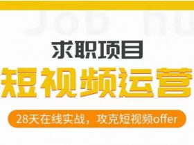 短视频运营求职实操项目，28天在线实战，攻克短视频offer