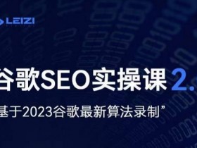 雷子·谷歌SEO 2.0实战课，独立站询盘自由必备，基于2023谷歌最新算法录制