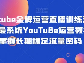 Youtube金牌运营直播训练营，国内最系统YouTuBe运营教学，掌握长期稳定流量密码