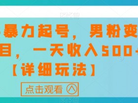 快手暴力起号，男粉变现项目，一天收入500+【详细玩法】【揭秘】