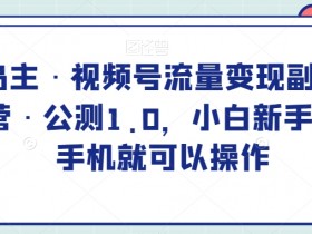 黄岛主·视频号流量变现副业训练营·公测1.0，小白新手一部手机就可以操作