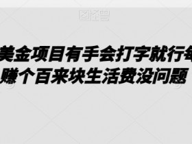 0撸美金项目有手会打字就行每天赚个百来块生活费没问题【揭秘】