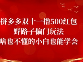 拼多多双十一撸500红包野路子偏门玩法，啥也不懂的小白也能学会【揭秘】