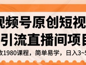 视频号原创短视频引流直播间项目，日入3~5五位数【揭秘】