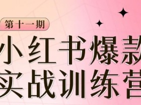 小红书博主爆款训练营第11期，手把手教你从0-1做小红书，从定位到起号到变现