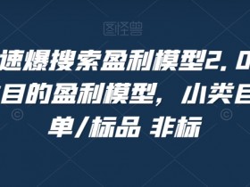 淘系极速爆搜索盈利模型2.0，淘宝各个类目的盈利模型，小类目/高客单/标品 非标