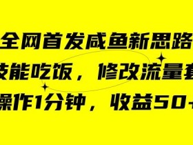 咸鱼冷门新玩法，靠“技能吃饭”，修改流量套餐，操作1分钟，收益50【揭秘】