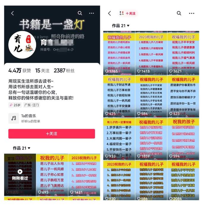 黄岛主视频号儿女祝福视频引流变现分享课，银发经济新风囗【视频+素材】