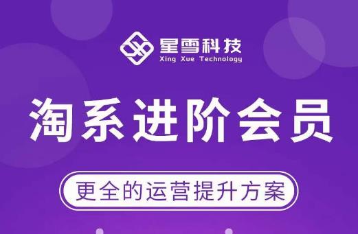 星雪淘系进阶课程,快速提升突破技能流量瓶颈必备(更新2023年5月)