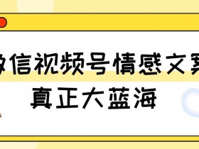 视频号情感文案，真正大蓝海，简单操作，新手小白轻松上手（教程+素材）【揭秘】