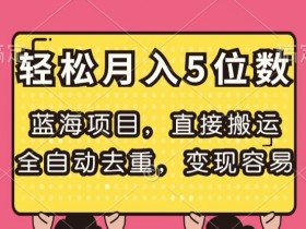 蓝海项目，直接搬运，全自动去重，变现容易，轻松月入5位数【揭秘】