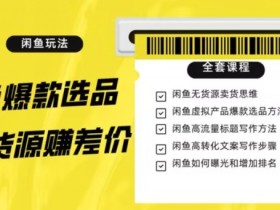 闲鱼无货源赚差价进阶玩法，爆款选品，资源寻找，引流变现全套教程（11节课）【揭秘】