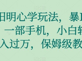 王阳明心学玩法，暴L变现，一部手机，小白轻松月入过万，保姆级教学【揭秘】