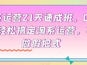 淘系运营21天速成班，0基础轻松搞定淘系运营，不做假把式